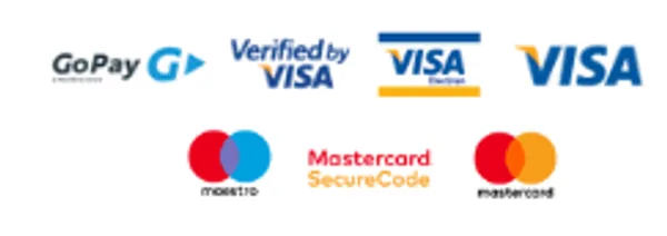 GoPay, Visa, Mastercard, Maestro